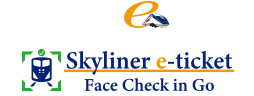 E-Ticket